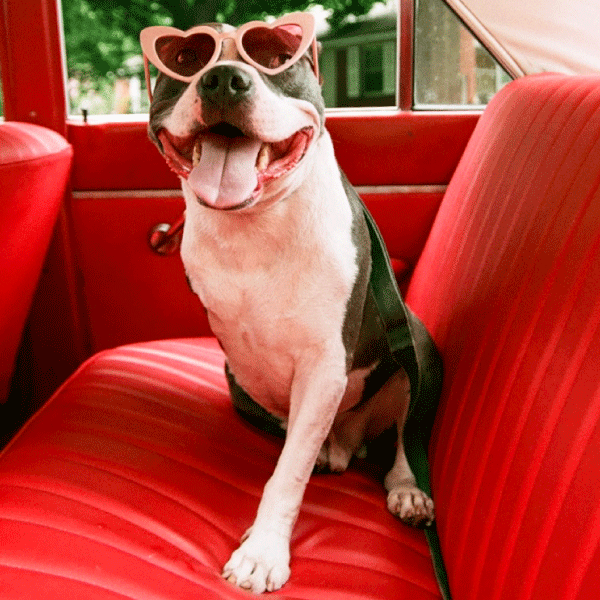 Heart Shaped Sunglasses